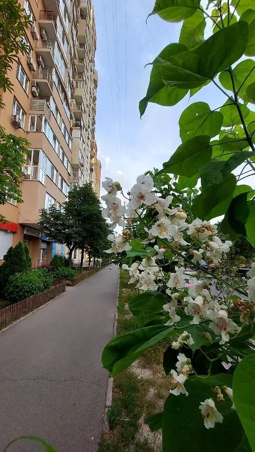 Просторі Апартаменти Kyiv Ukraine